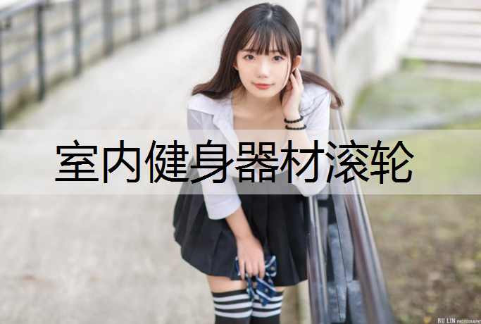 室内健身器材滚轮