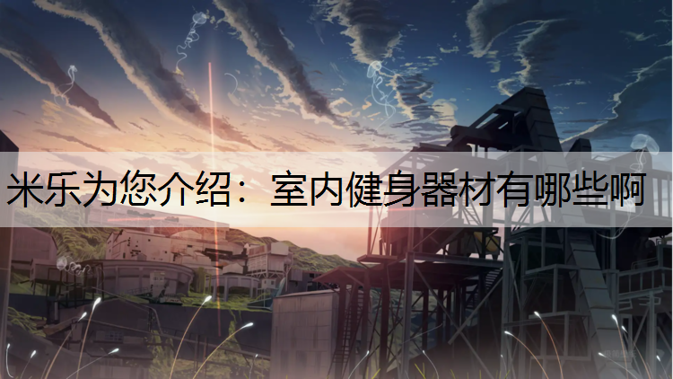 <strong>米乐为您介绍：室内健身器材有哪些啊</strong>