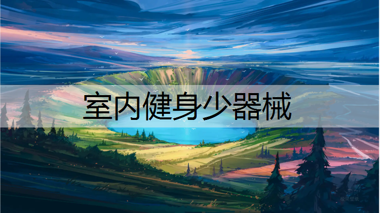<strong>室内健身少器械</strong>