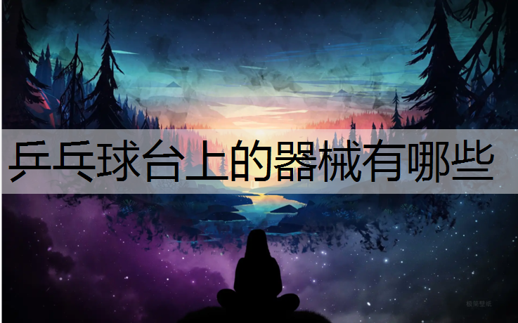 乒乓球台上的器械有哪些