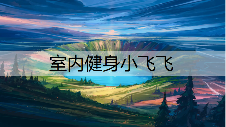 <strong>室内健身小飞飞</strong>