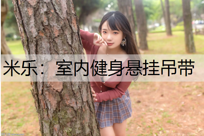 <strong>米乐：室内健身悬挂吊带</strong>