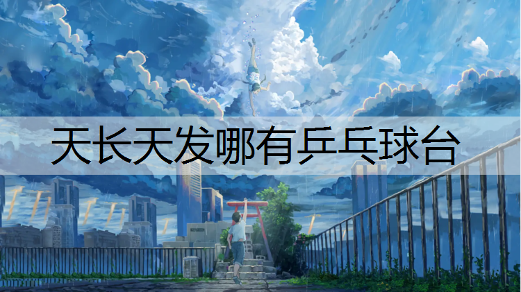 天长天发哪有乒乓球台