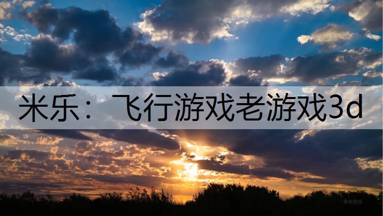 米乐：飞行游戏老游戏3d