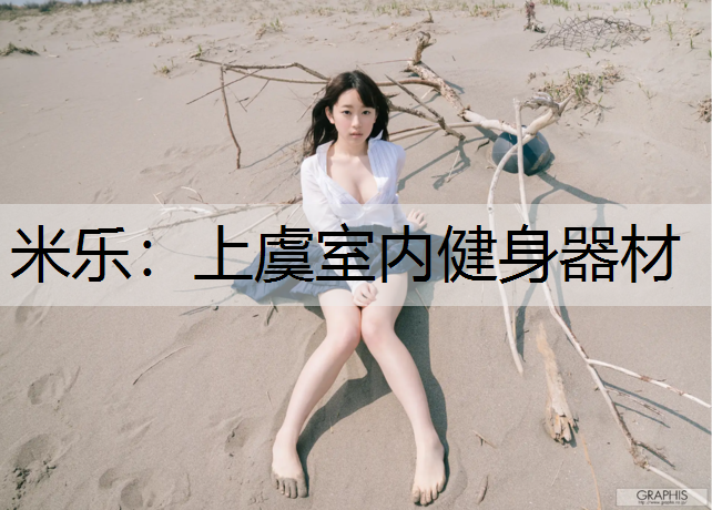 <strong>米乐：上虞室内健身器材</strong>