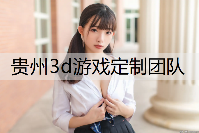 贵州3d游戏定制团队