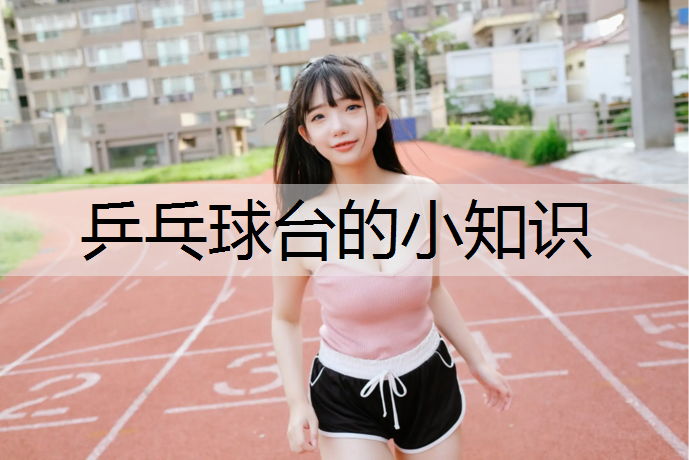 乒乓球台的小知识