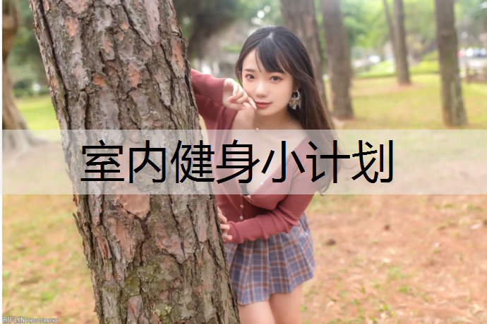 室内健身小计划