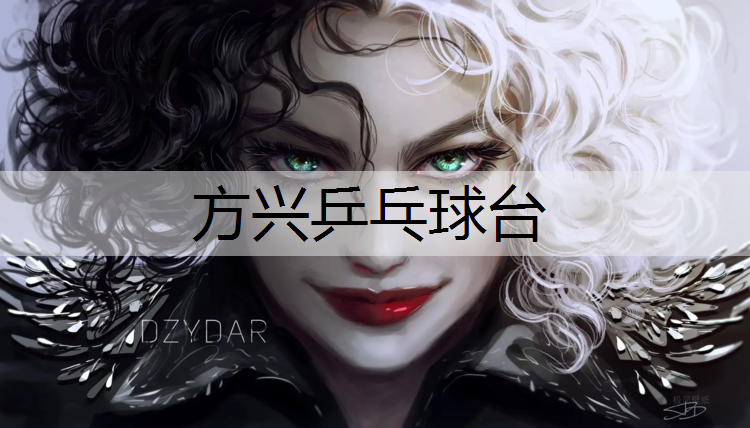 方兴乒乓球台