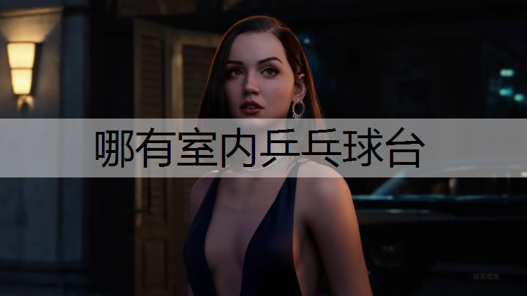 哪有室内乒乓球台