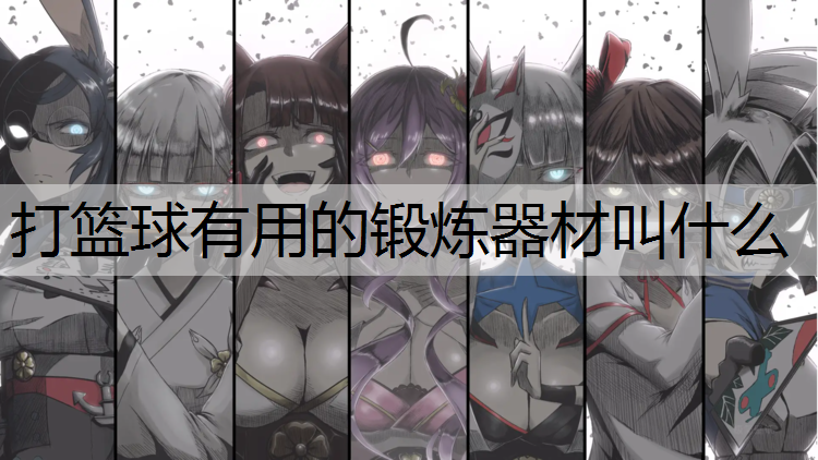 打篮球有用的锻炼器材叫什么