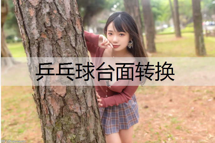 乒乓球台面转换