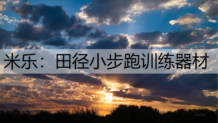 <strong>米乐：田径小步跑训练器材</strong>
