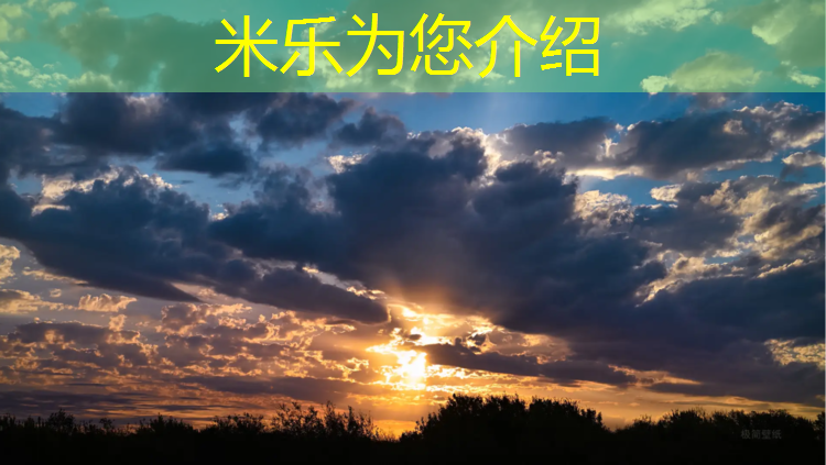 米乐为您介绍：跆拳道运动员双方护具颜色