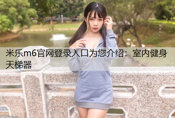 室内健身天梯器