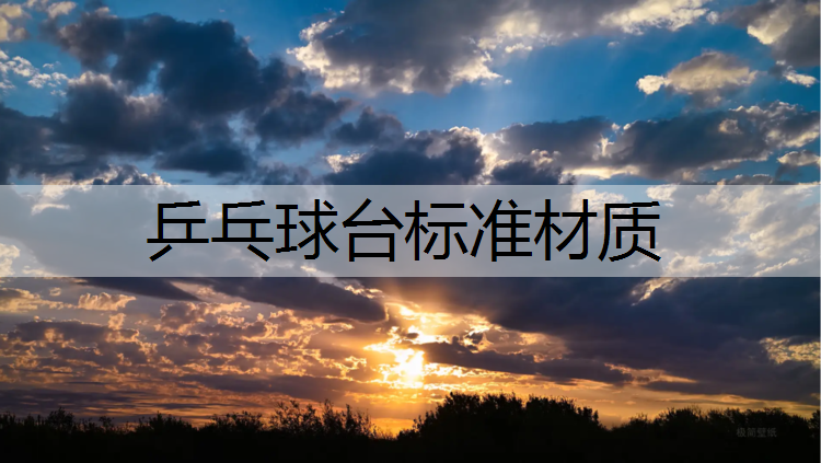 乒乓球台标准材质