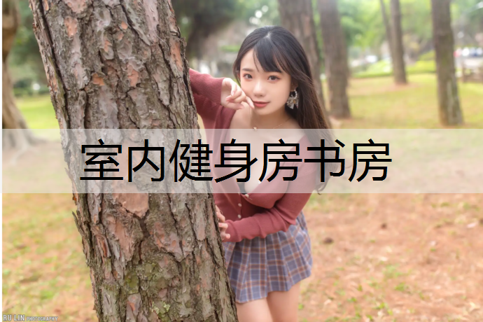室内健身房书房