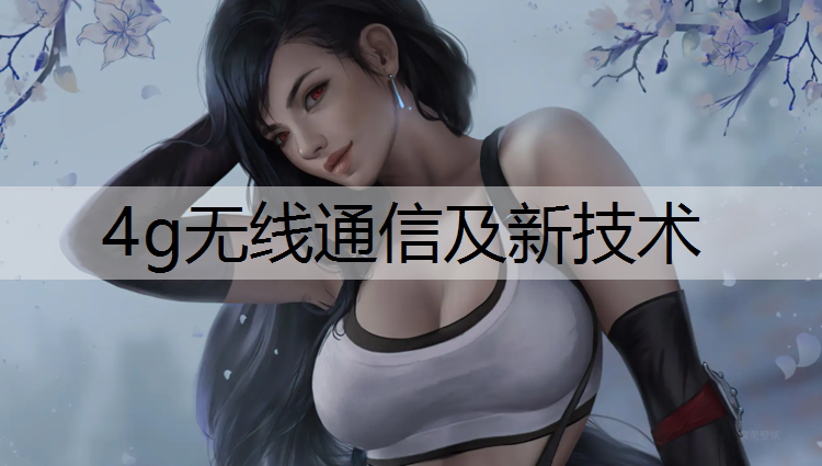 4g无线通信及新技术