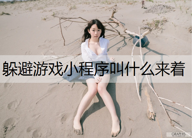 躲避游戏小程序叫什么来着