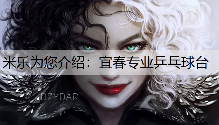宜春专业乒乓球台