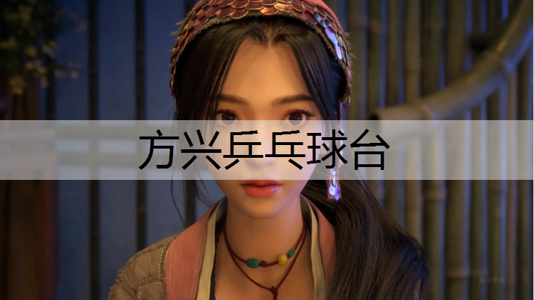 方兴乒乓球台