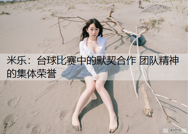 台球比赛中的默契合作 团队精神的集体荣誉
