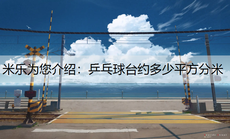乒乓球台约多少平方分米