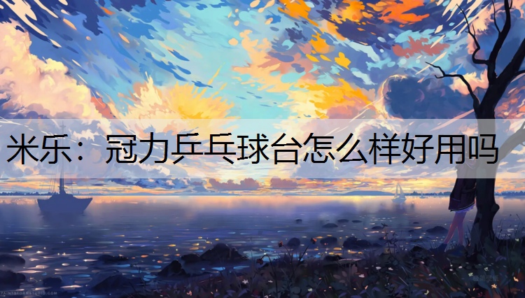 冠力乒乓球台怎么样好用吗